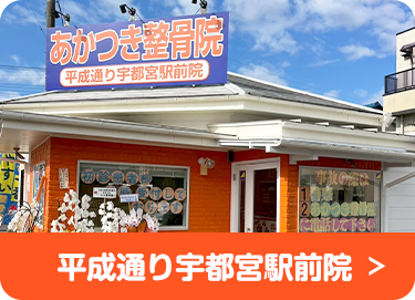 平成通り宇都宮駅前院